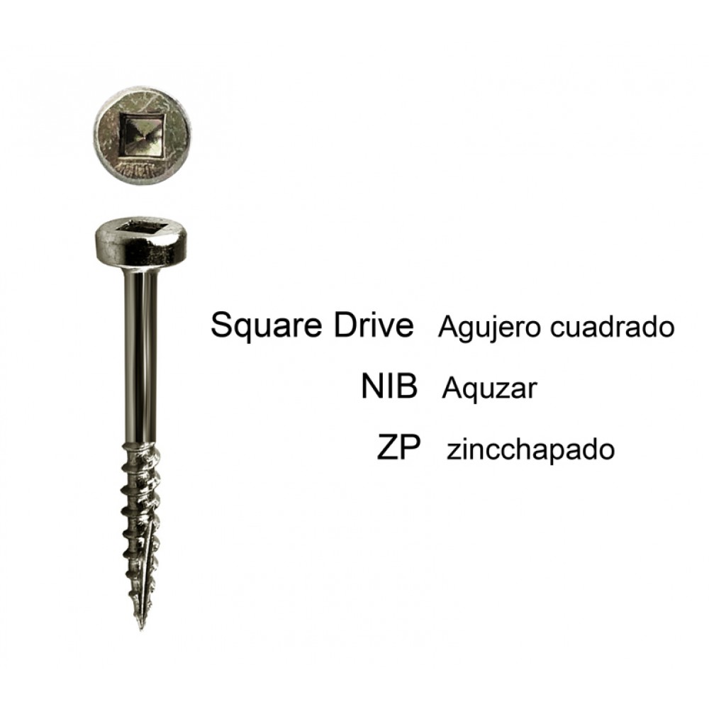 ▷FILLISTER SQ DRIVE MODIFIED PAN HEAD SCREW TYPE-17 DEEP THREAD K6112 K6134 K62 ▷FILLISTER SQ DRIVE MODIFIED PAN HEAD SCREW TYPE-17 DEEP THREAD K6112 K6134 K62